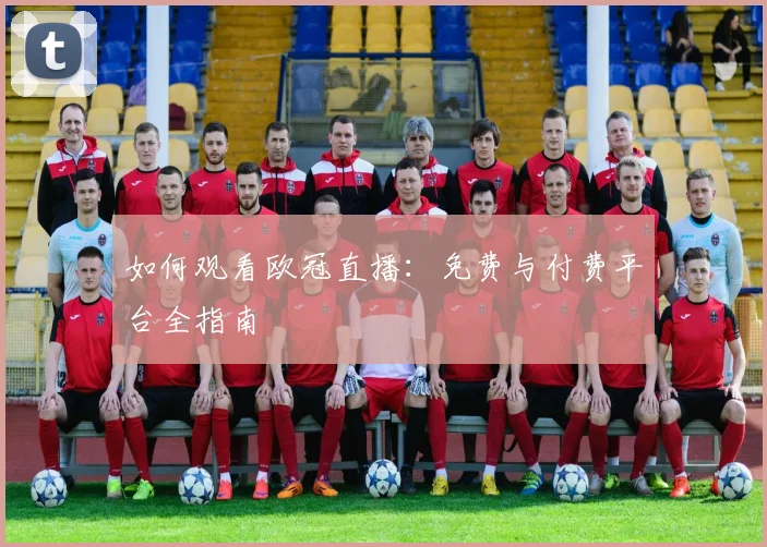 如何观看欧冠直播：免费与付费平台全指南