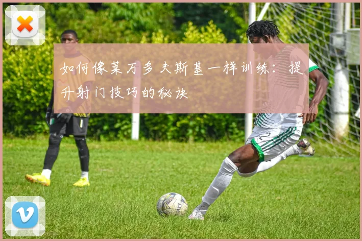 如何像莱万多夫斯基一样训练：提升射门技巧的秘诀