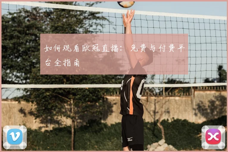 如何观看欧冠直播：免费与付费平台全指南