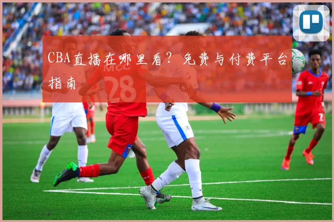 CBA直播在哪里看？免费与付费平台指南